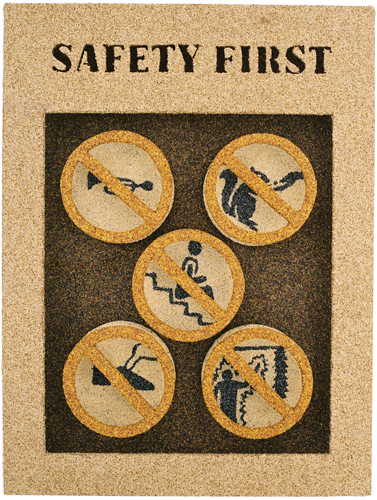 [Mark Dahlager Safety First image]