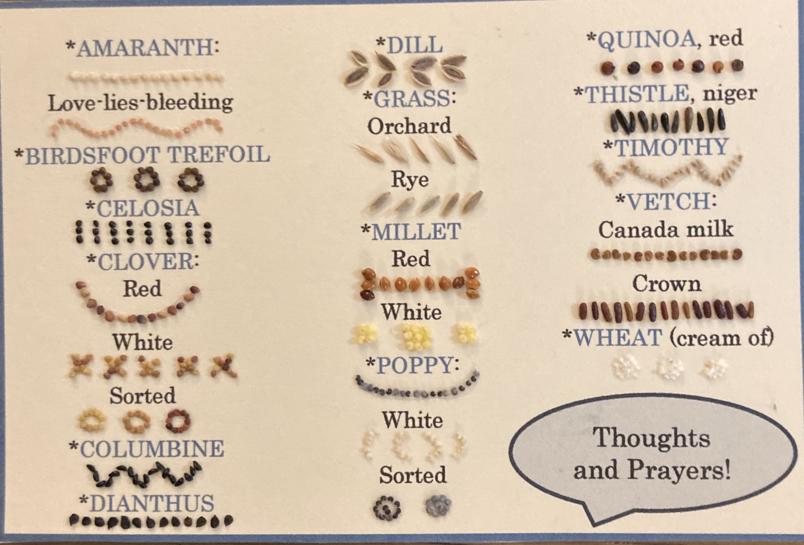 Laura Melnick | Thoughts and Prayers Seed Card