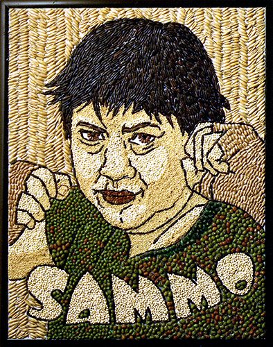 [David Steinlicht Sammo Hung]