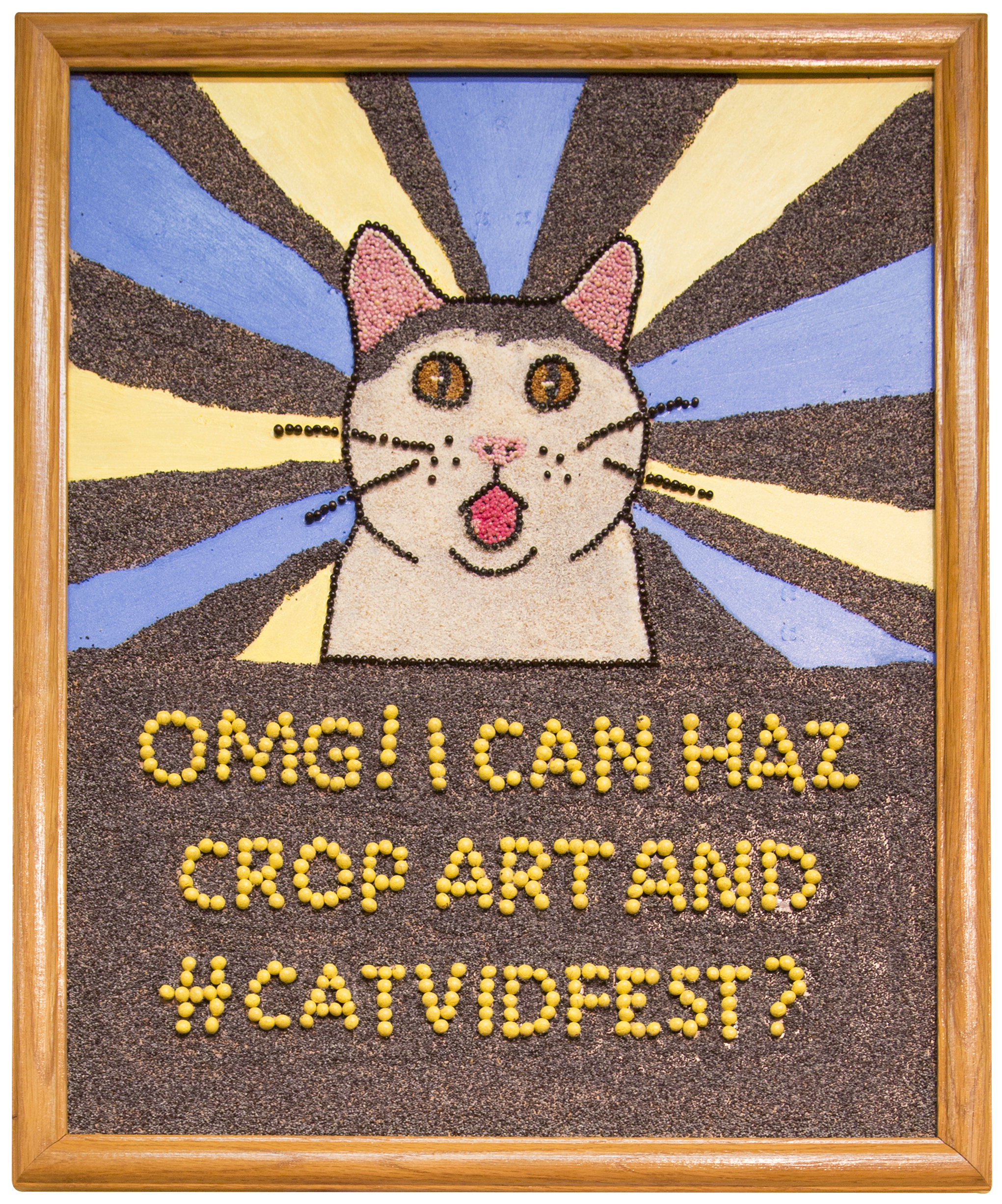 [Kim Cope #CATVIDFEST image]