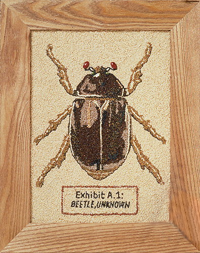 [Rox Stendahl Unknown Beetle image]